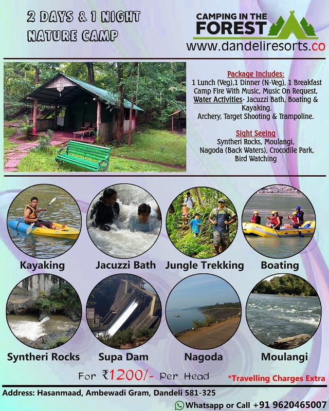 Natural Camping in Dandeli