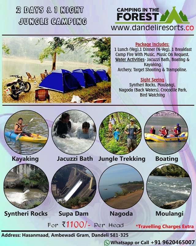 Jungle Camping in Dandeli